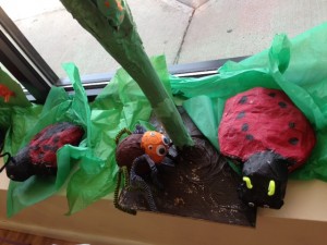 photo (15)