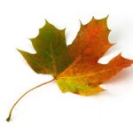 imagesCA43U245