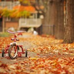 Tricycle-In-Autumn-Wallpaper