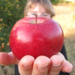 apple_picking_001